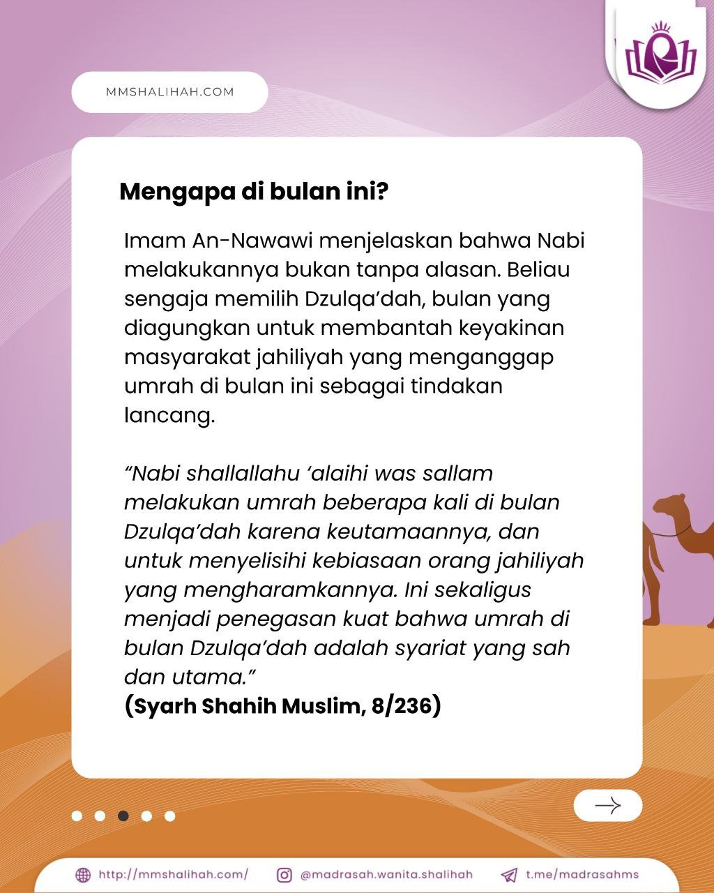 photo_6116435520503530253_y