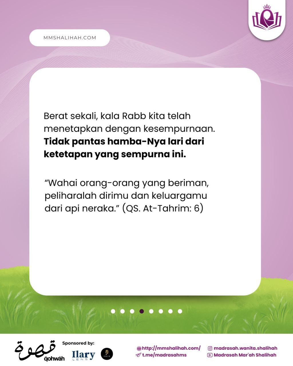 photo_6095650511609596822_y